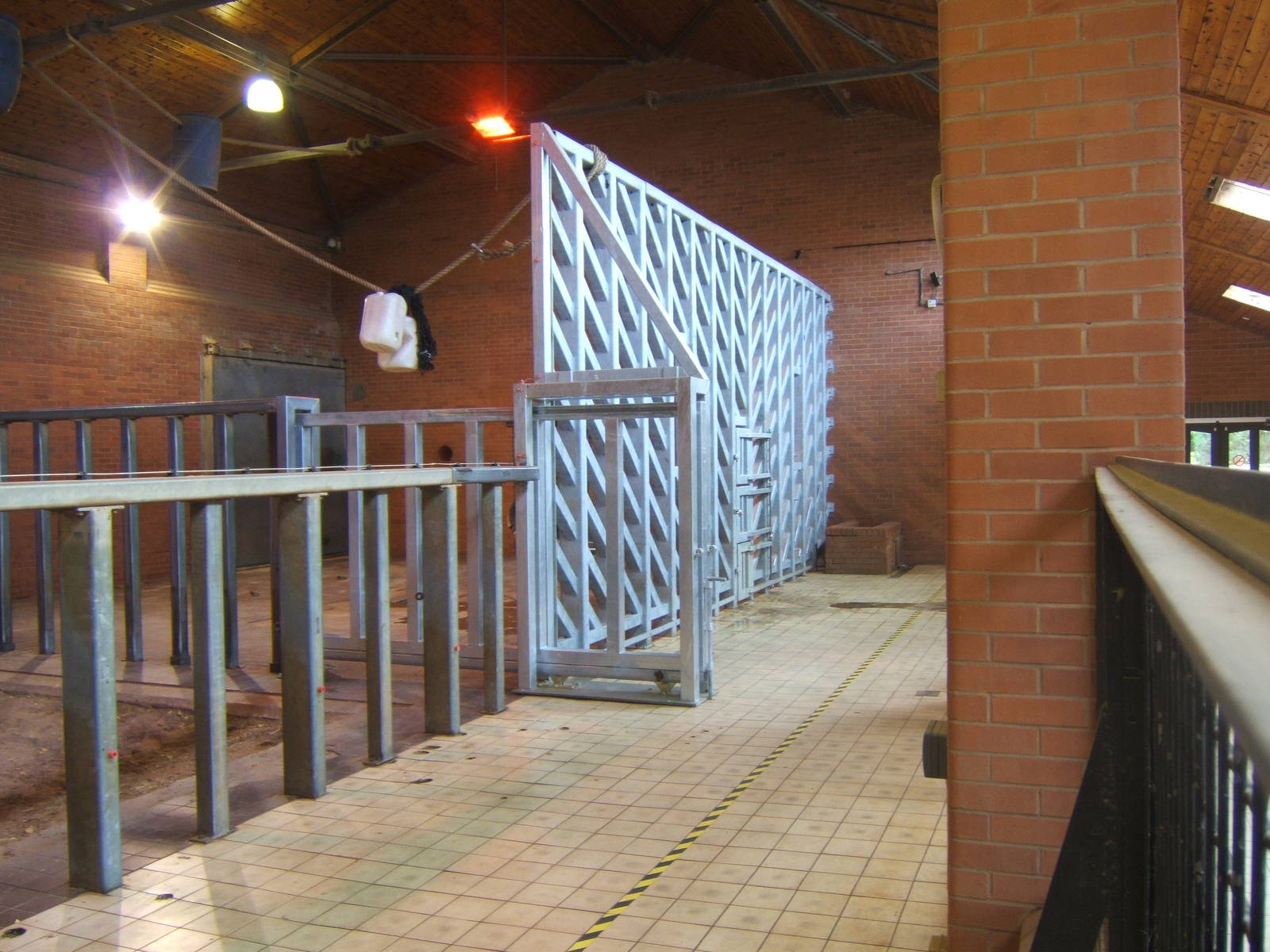 View of the new PC wall in the Elephant House