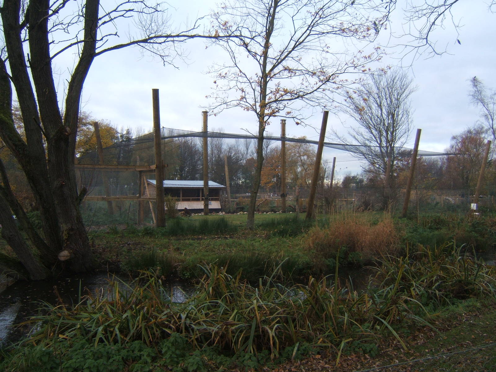 View of the new Weird and Wonderfull Aviary