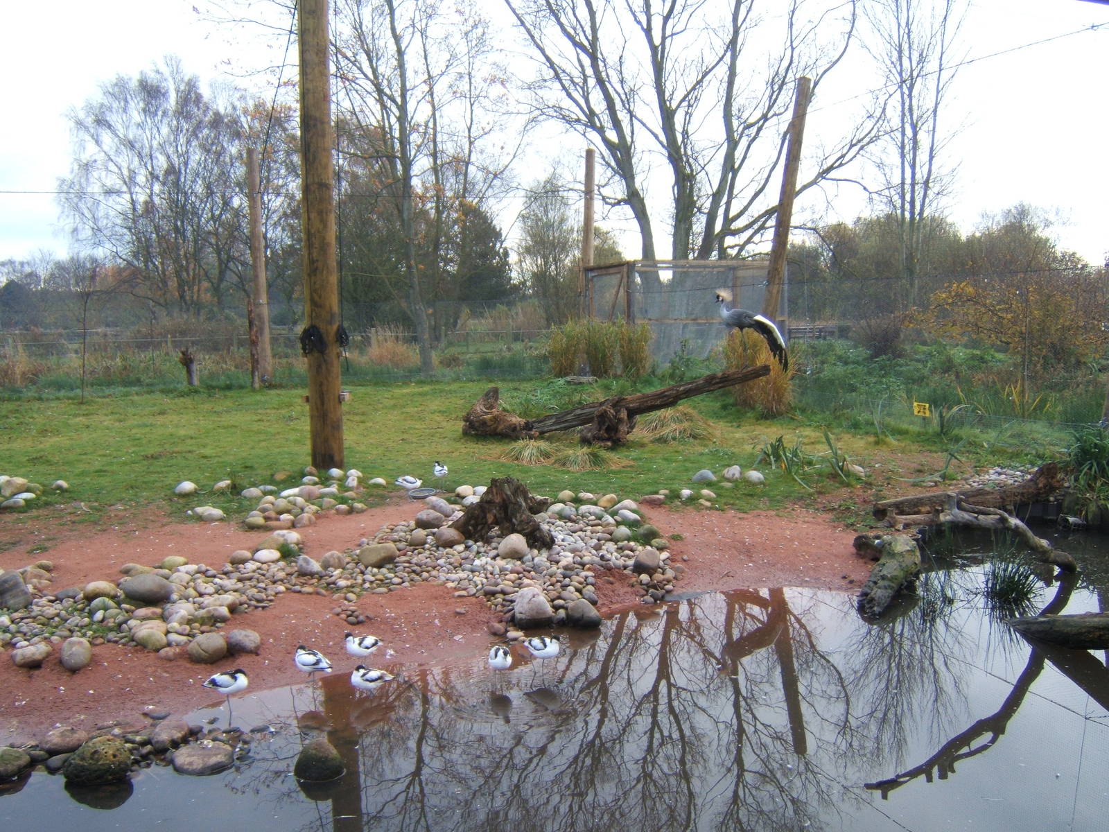 View of the new Weird and Wonderfull Aviary