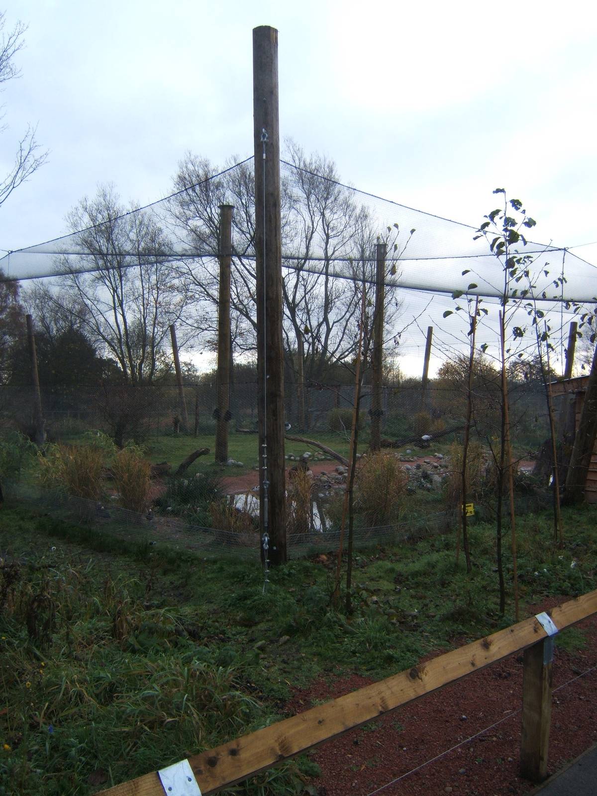 View of the new Weird and Wonderfull Aviary