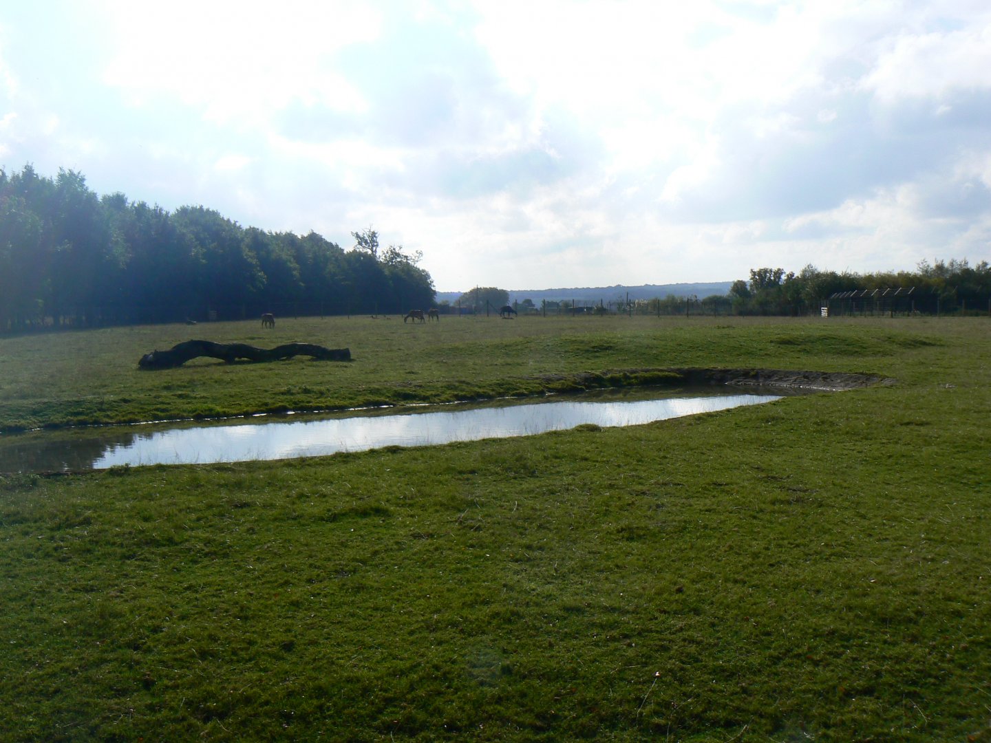 View of the Nilgai Paddock - 15 October 2016