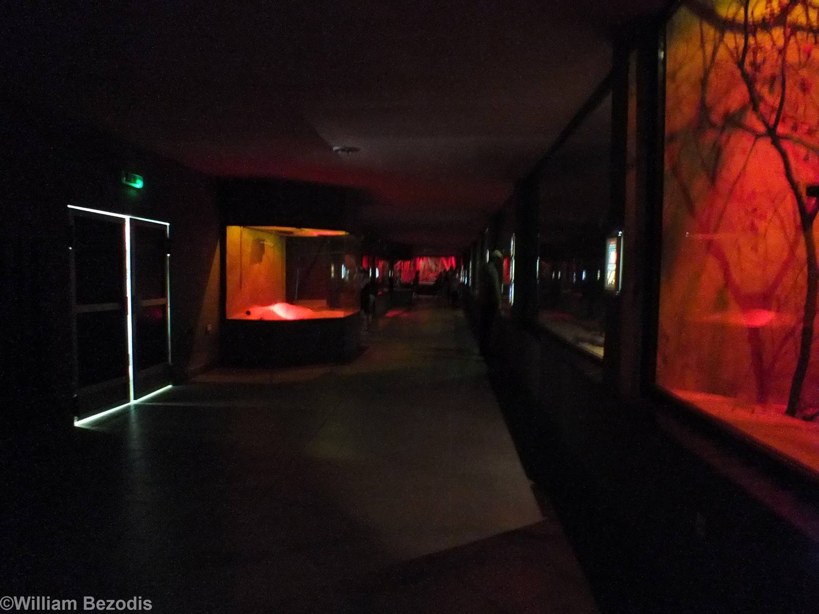 View of the Nocturnal House