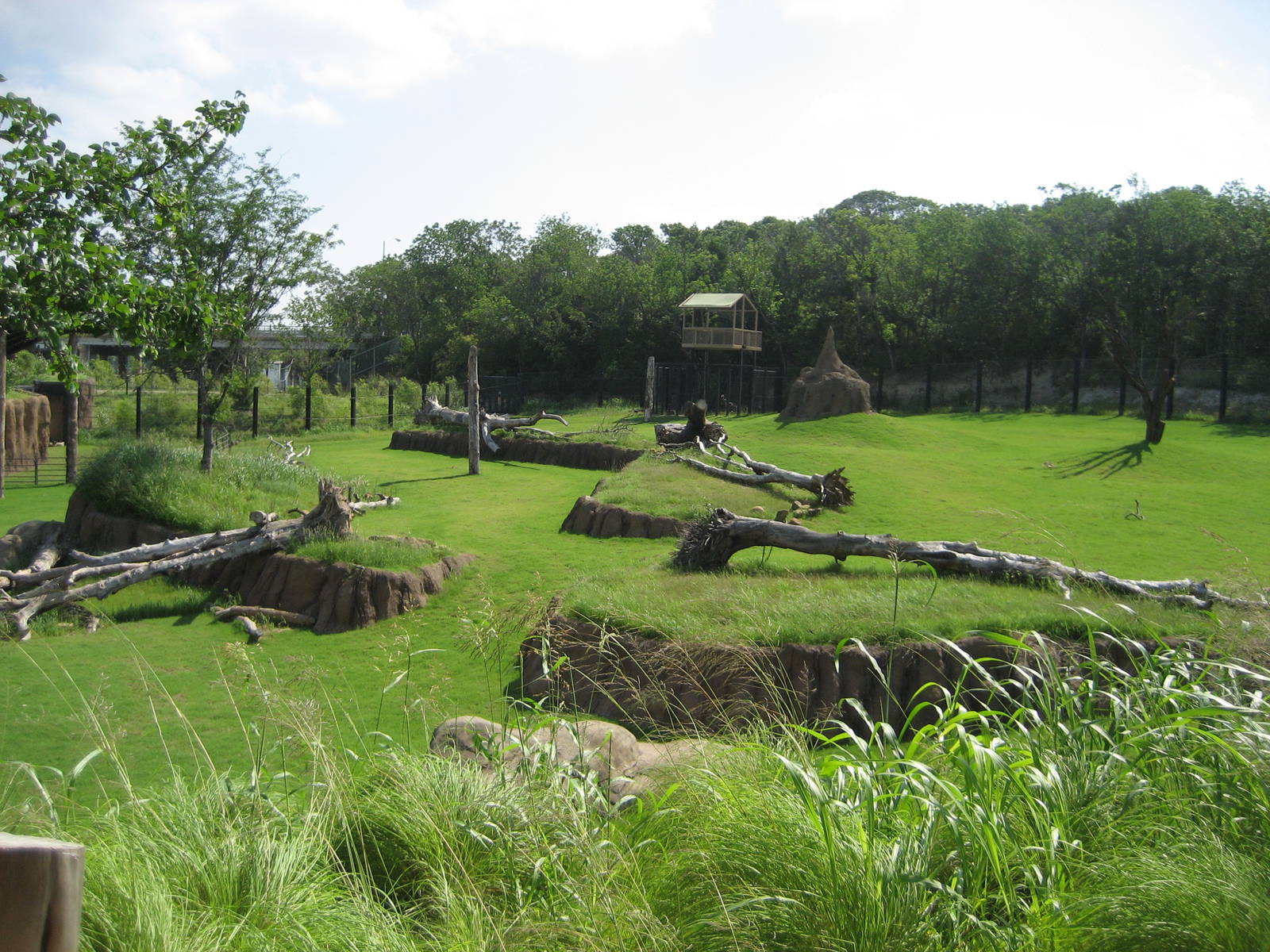 View of the North Savanna