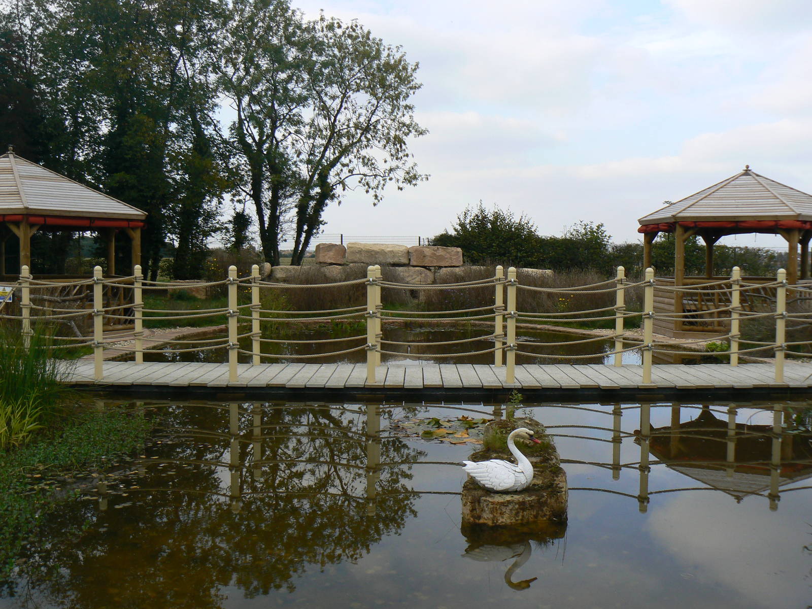 View Of The Not So Wild Wilderness Walkthrough