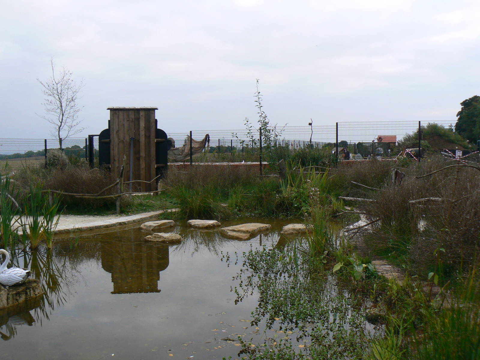 View Of The Not Very Wild Wilderness Walkthrough