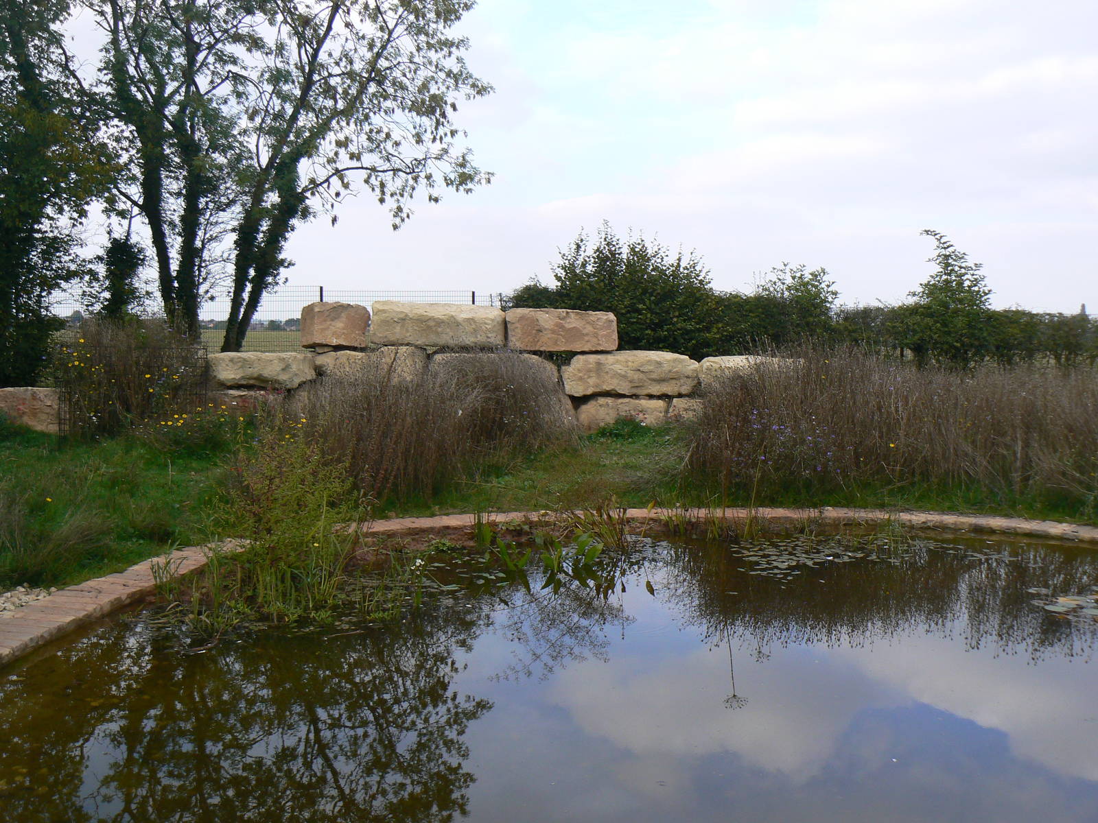 View Of The Not Very Wild Wilderness Walkthrough