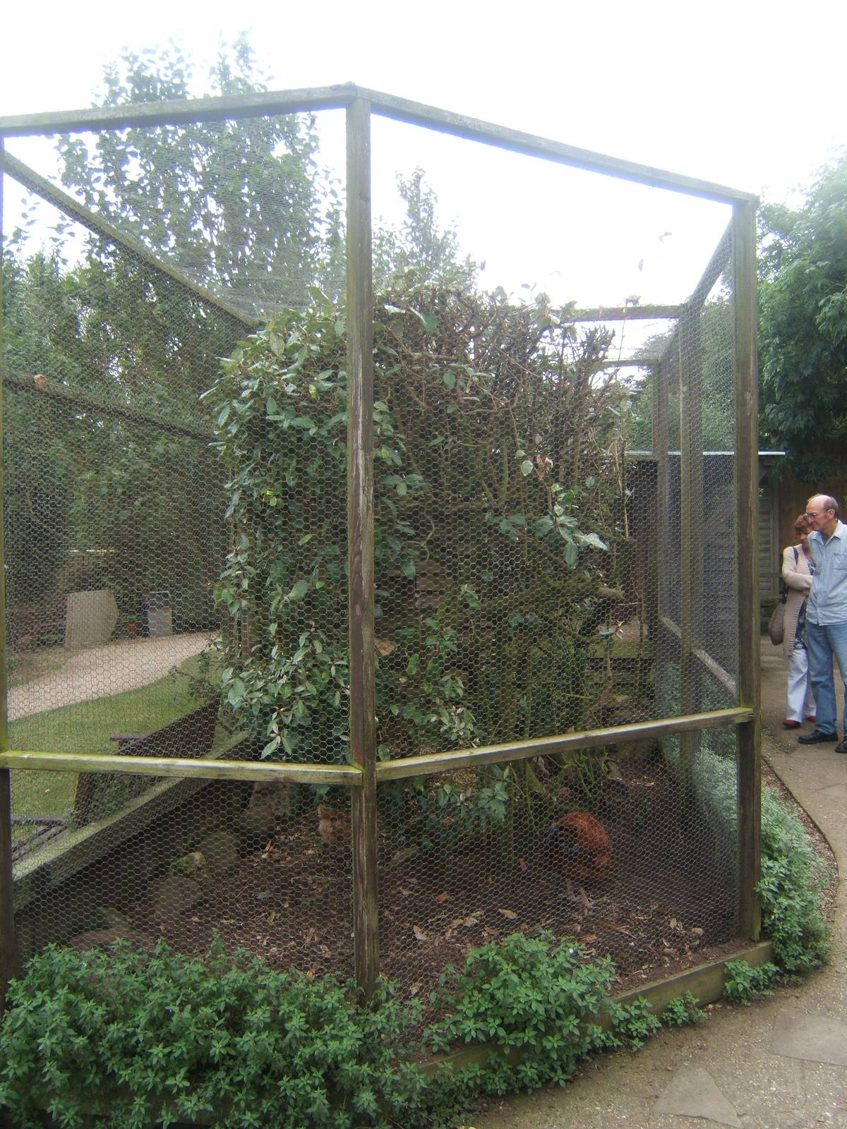 View of the old Genet enclosure