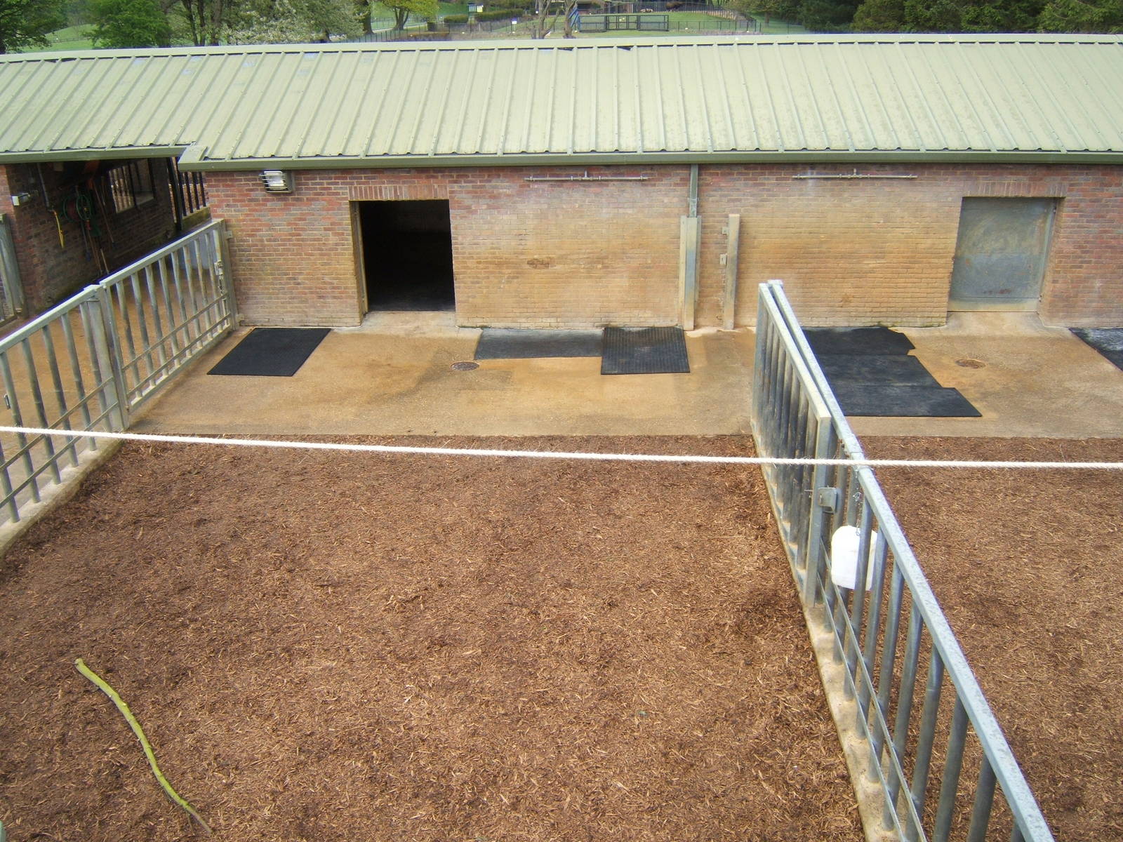 View of the old Indian Rhino House