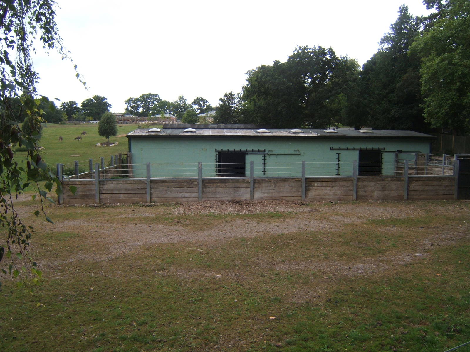 View of the old Rhino House