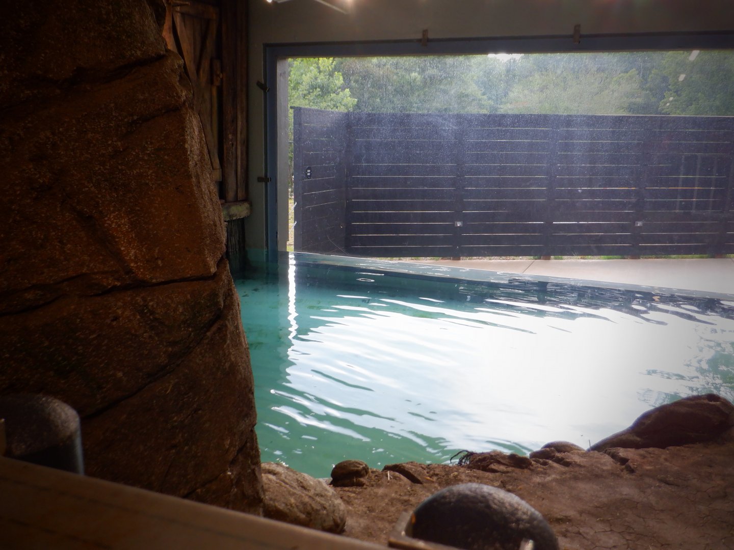 View of the other side of the indoor Pygmy Hippo exhibit at the Greensboro Science Center