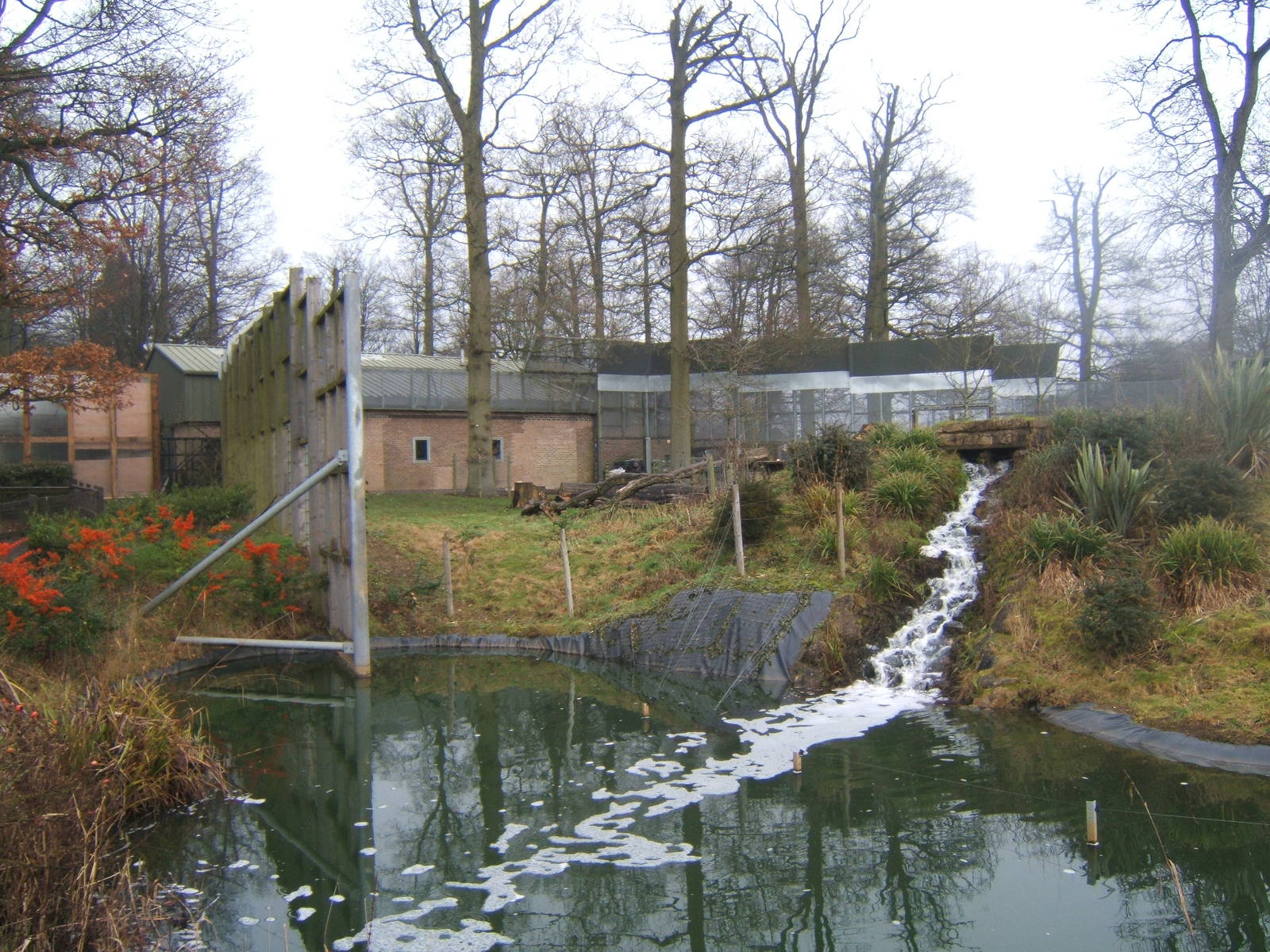 View of the outside Chimp enclosure