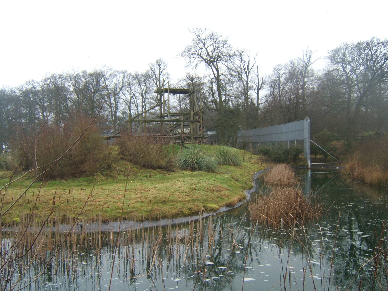 View of the outside Chimp enclosure