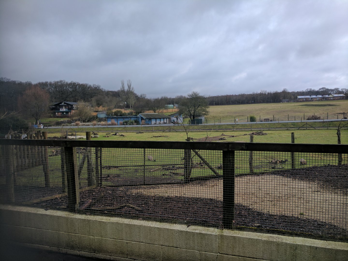View of the Park from the Tapir Enclosure