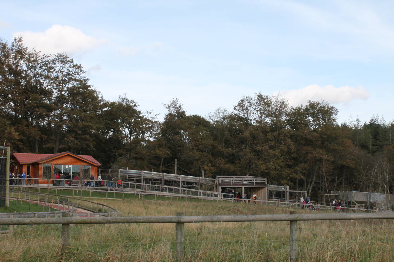 View of the Patas/Stump Tailed Macaque Enclosures