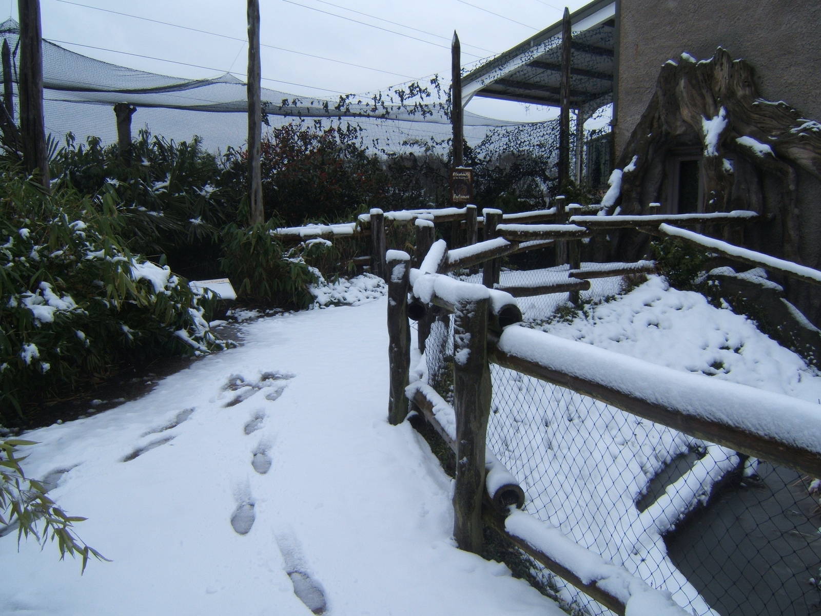 View of the path to the Elephant House