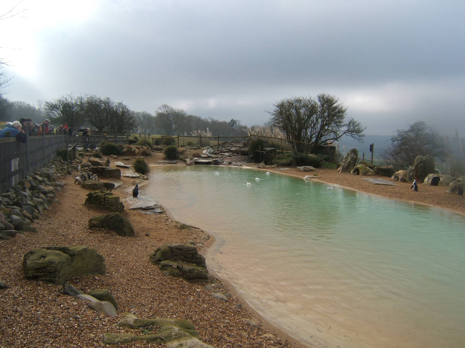 View of the Penguin enclosure