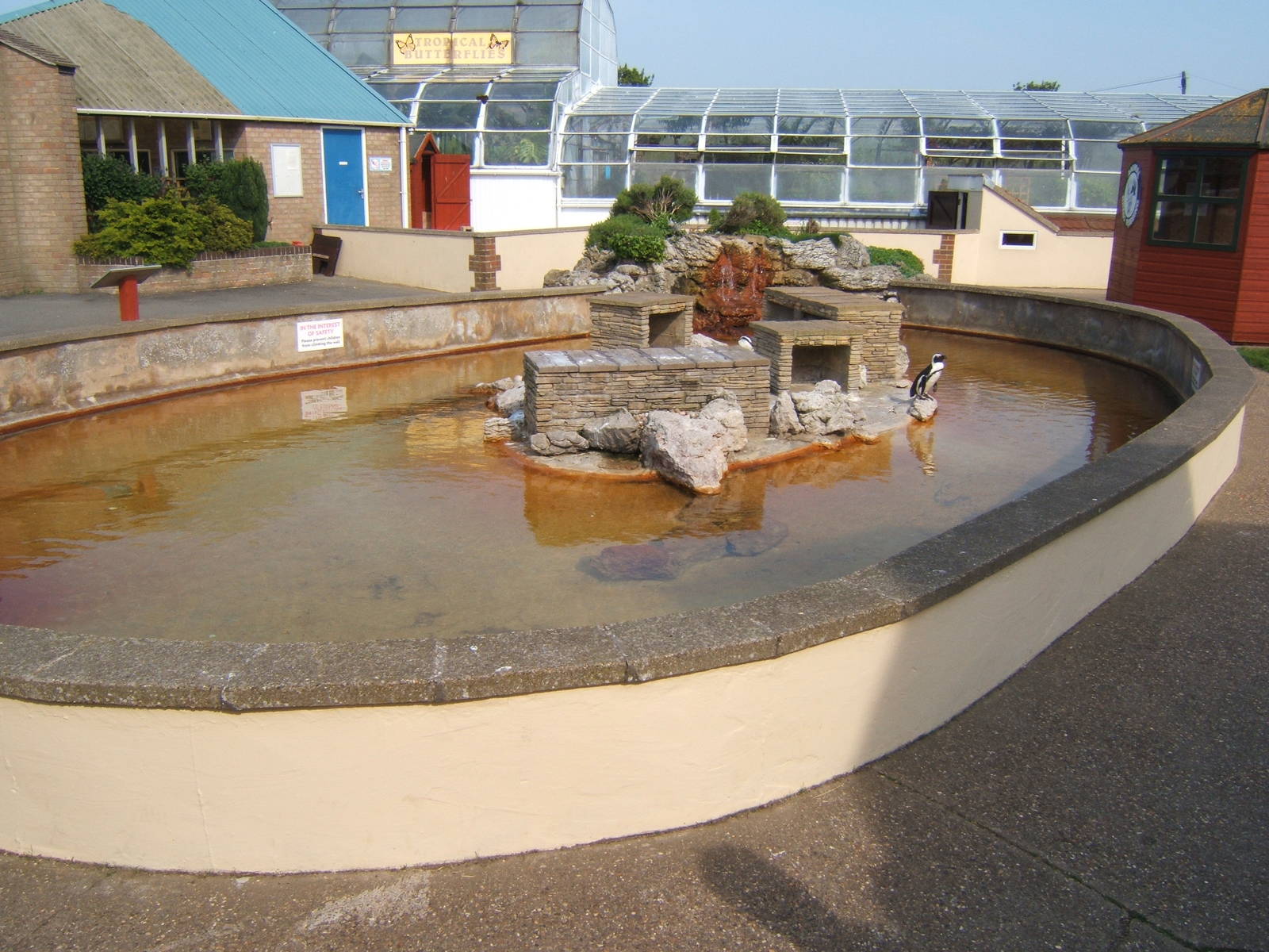 View of the Penguin Pool