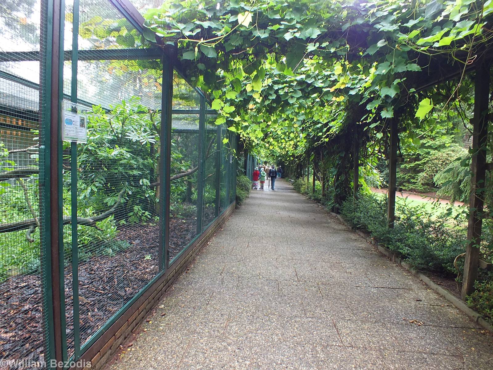 View of the Pheasantry