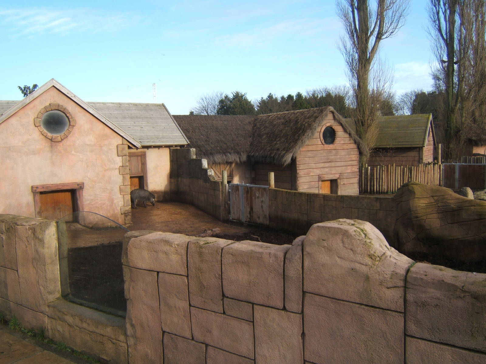 View of the Pig enclosures