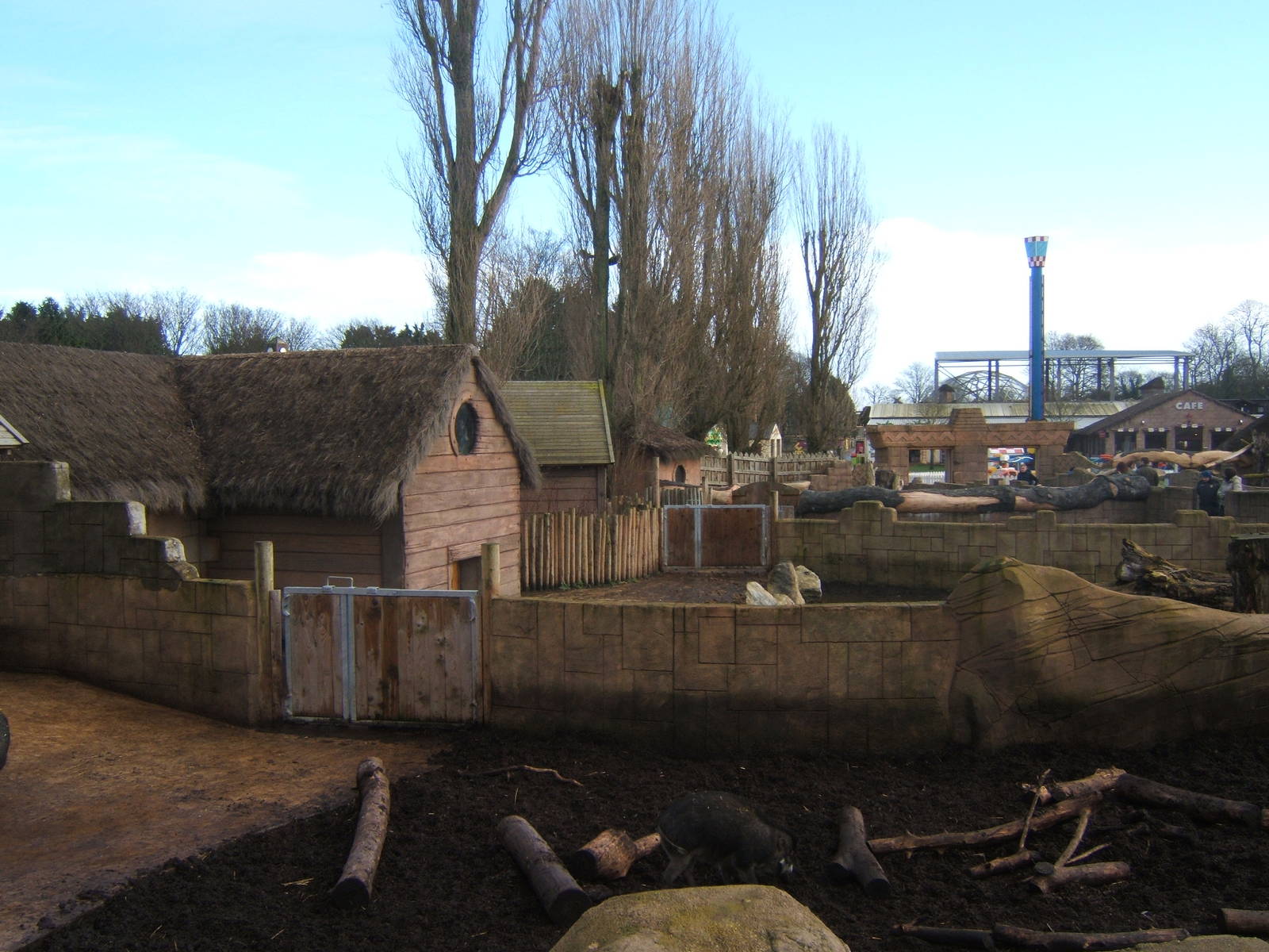 View of the Pig enclosures