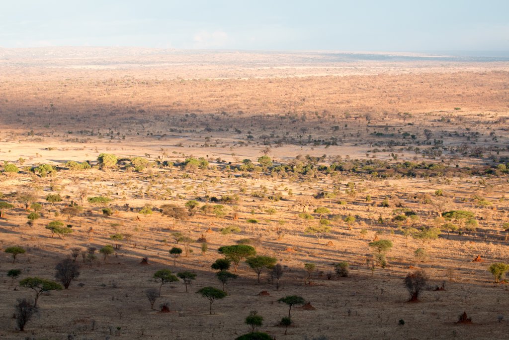 View of the plains below