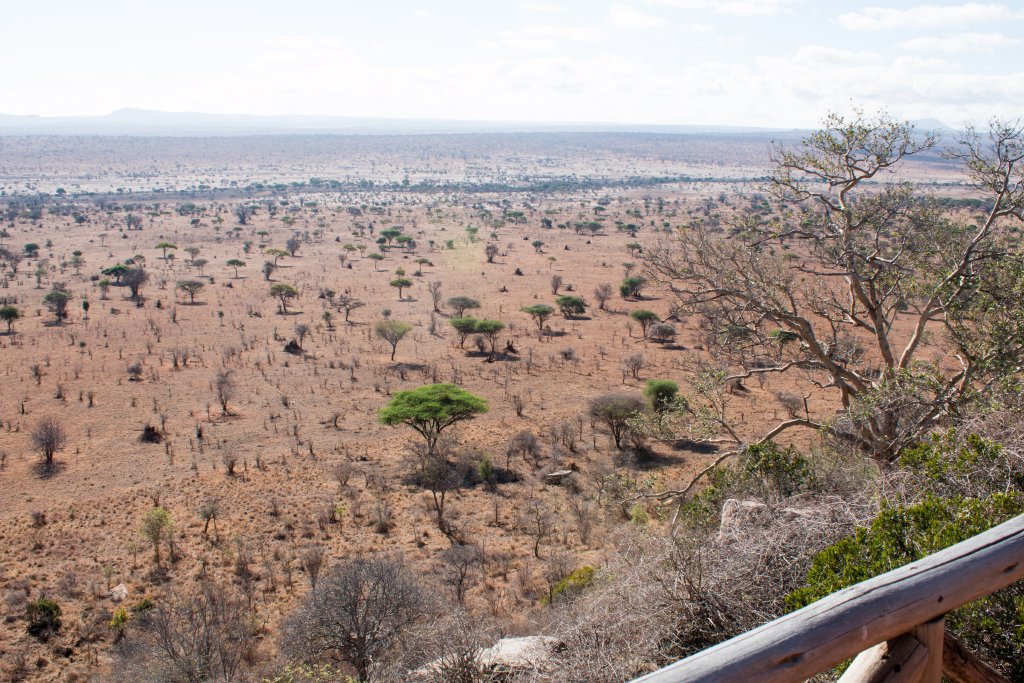 View of the plains below
