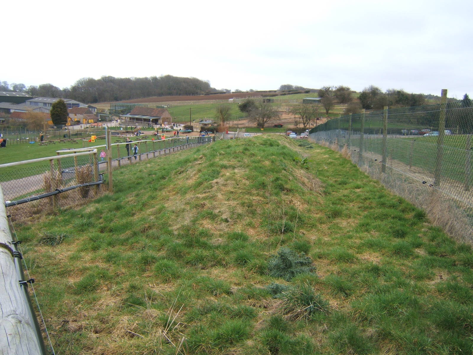 View of the Prairie Dog Enclosure