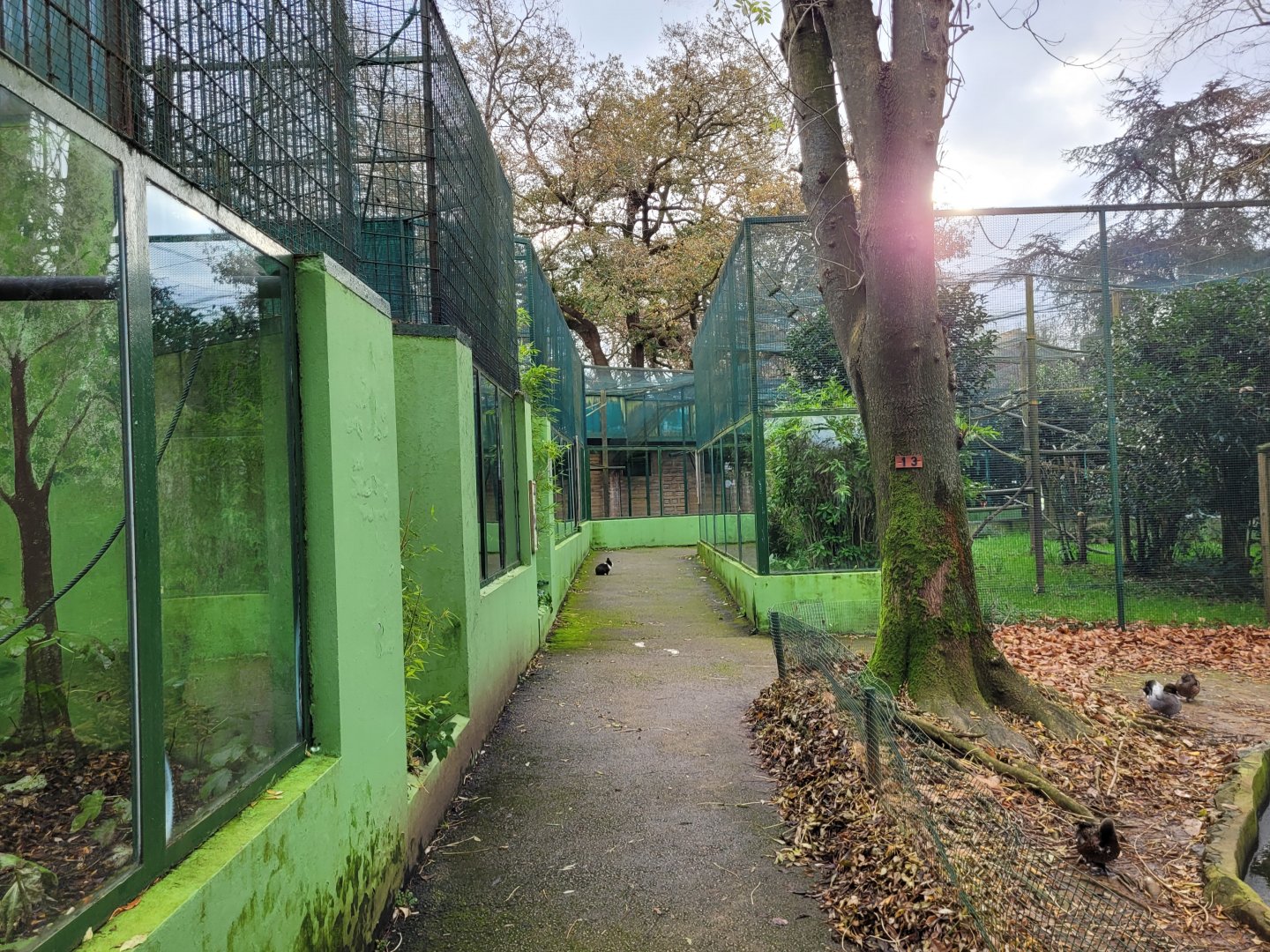 View of the primate area -Zoo de Santillana del Mar (2023)