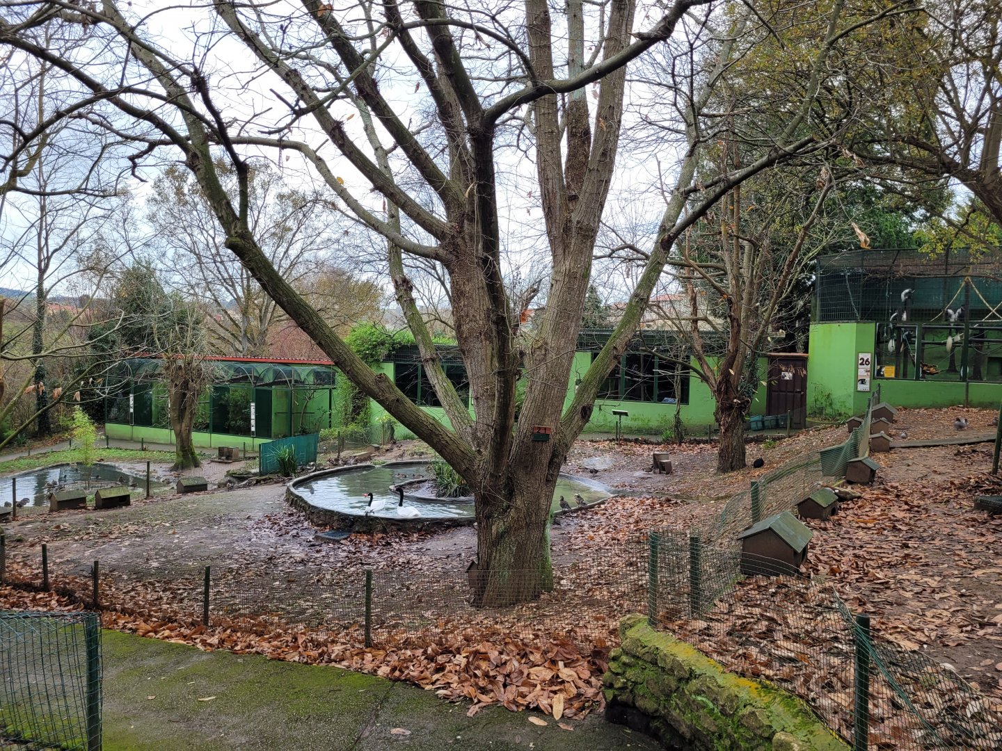 View of the primate area -Zoo de Santillana del Mar (2023)