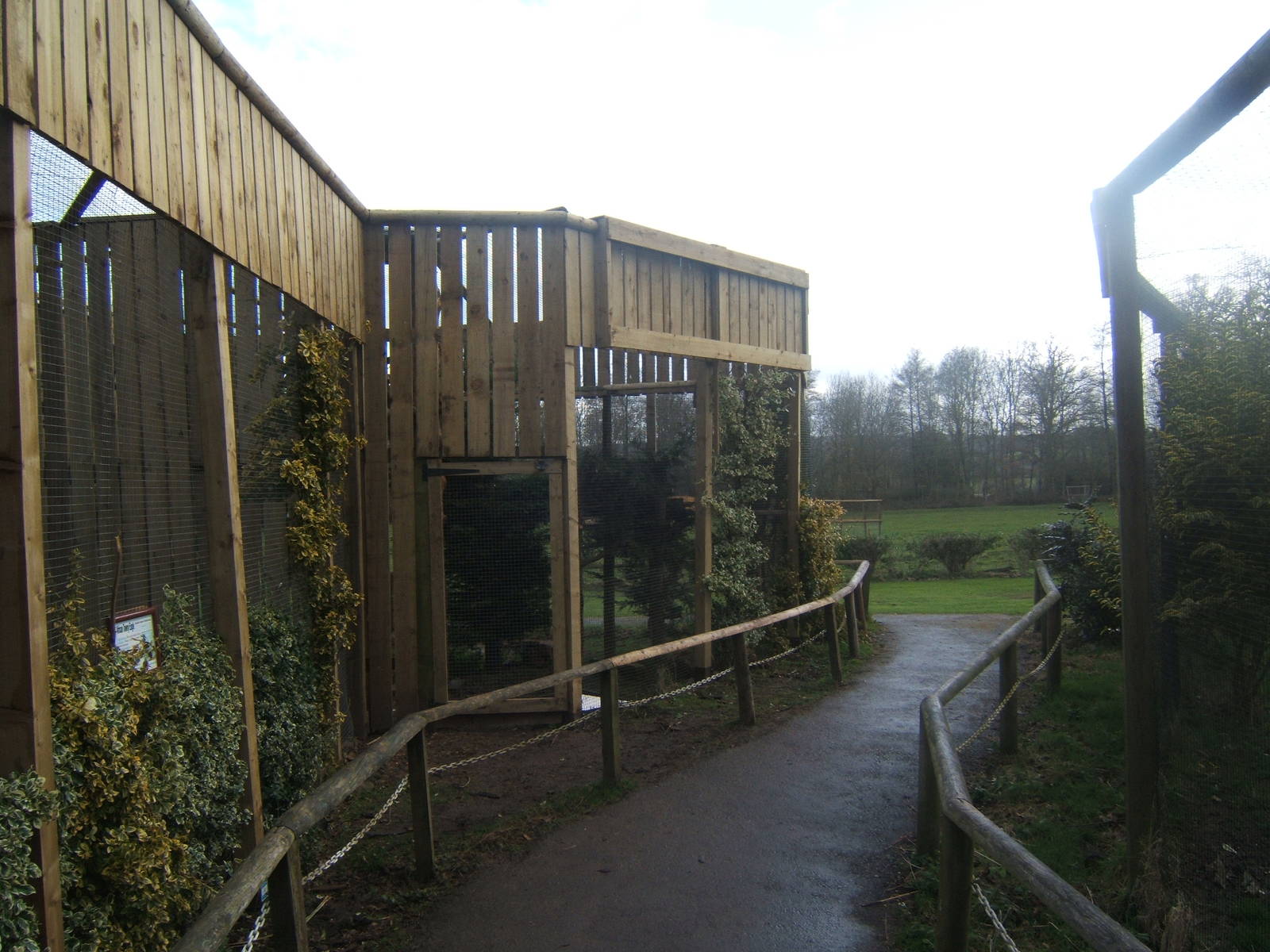 View of the re-designed Kite Aviarys