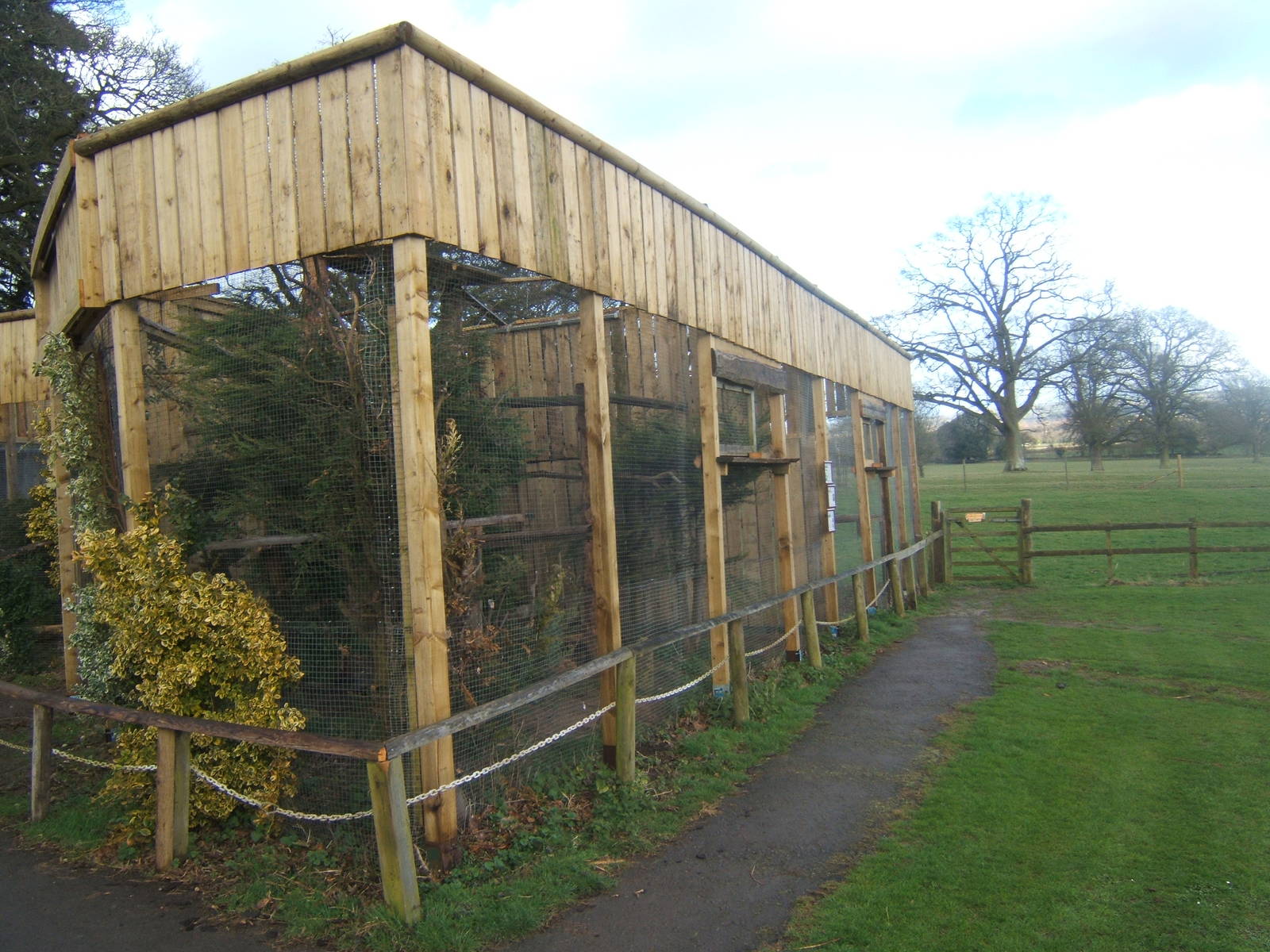 View of the re-designed Kite Aviarys