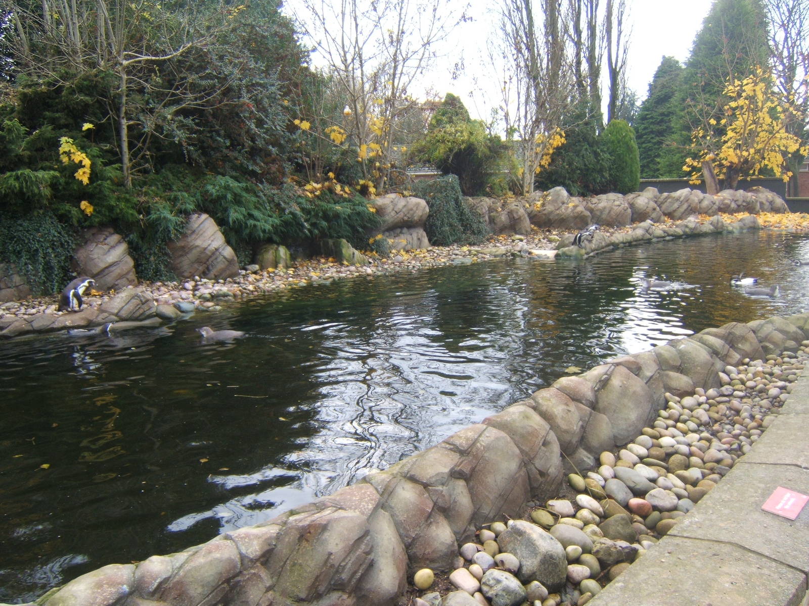 View of the re-done Penguin exhibit