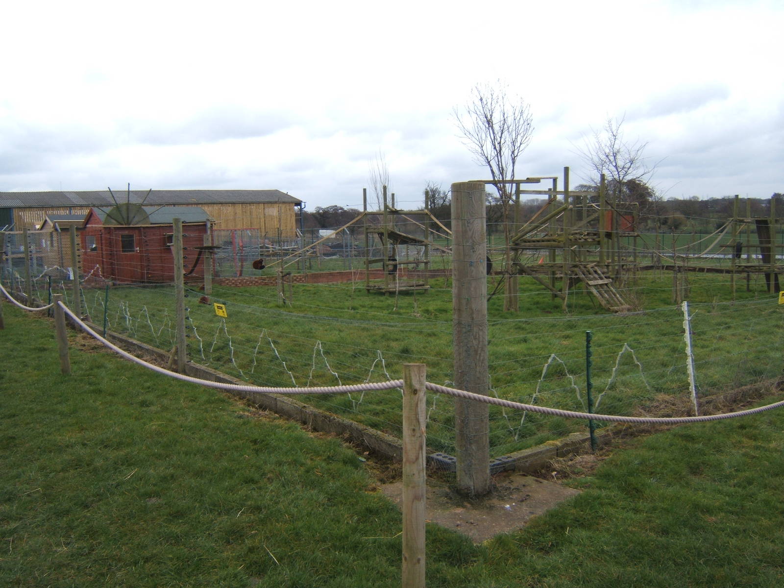 View of the Red Ruffed Lemur enclosure