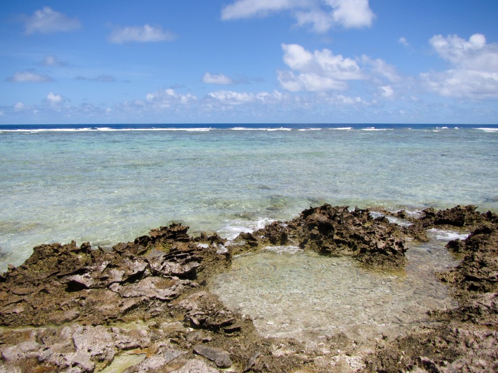 View of the reef
