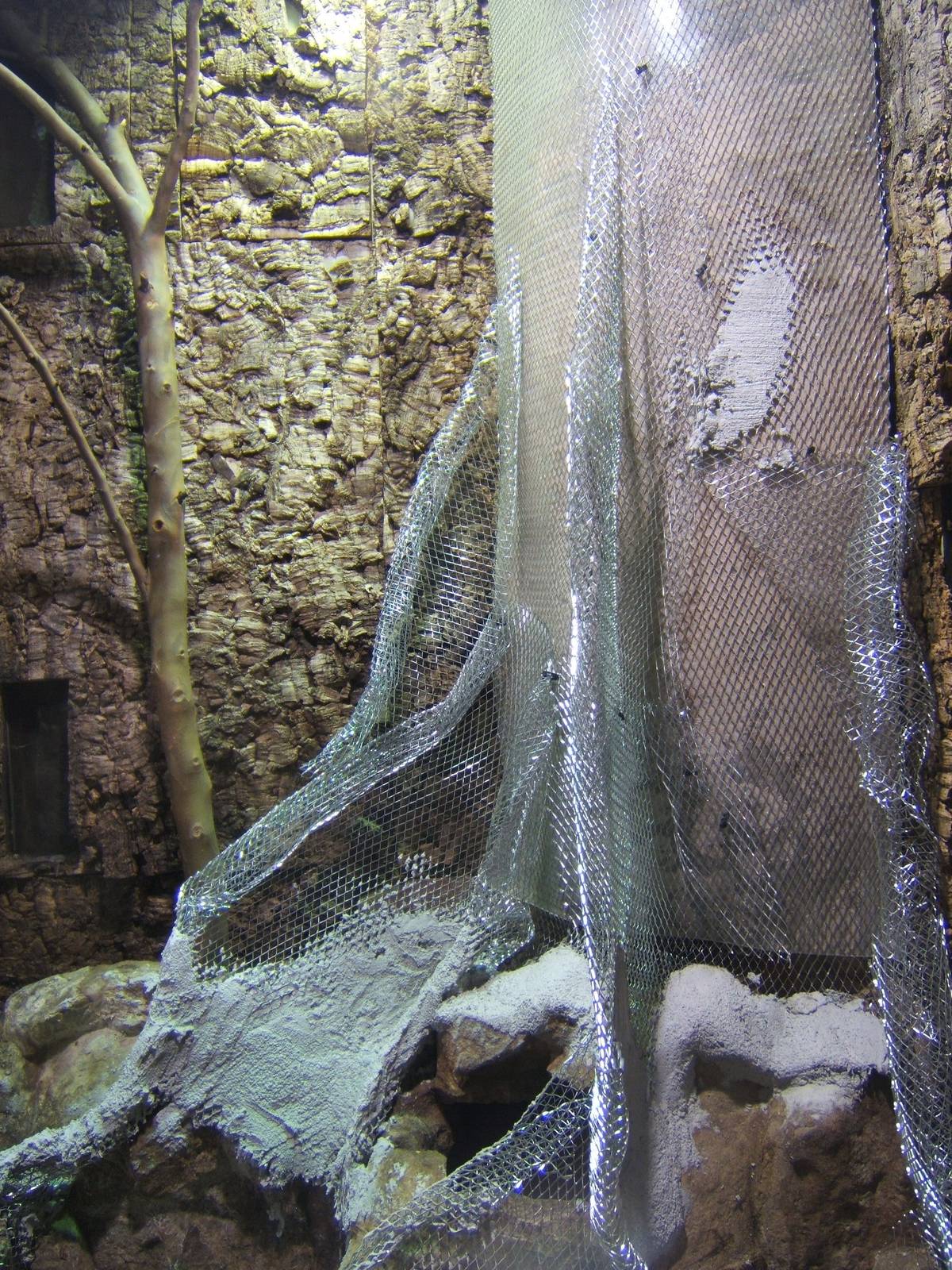 View of the refurb of the Rhinoceros Ratsnake exhibit