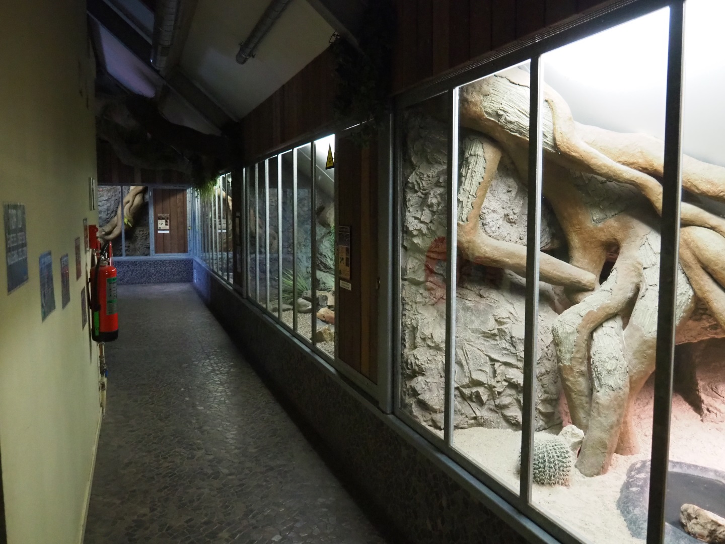 View of the reptile and small mammal attic, 2019-04-06