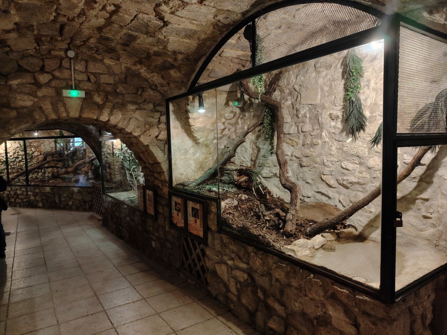 View of the Reptile House (Species list in comment)