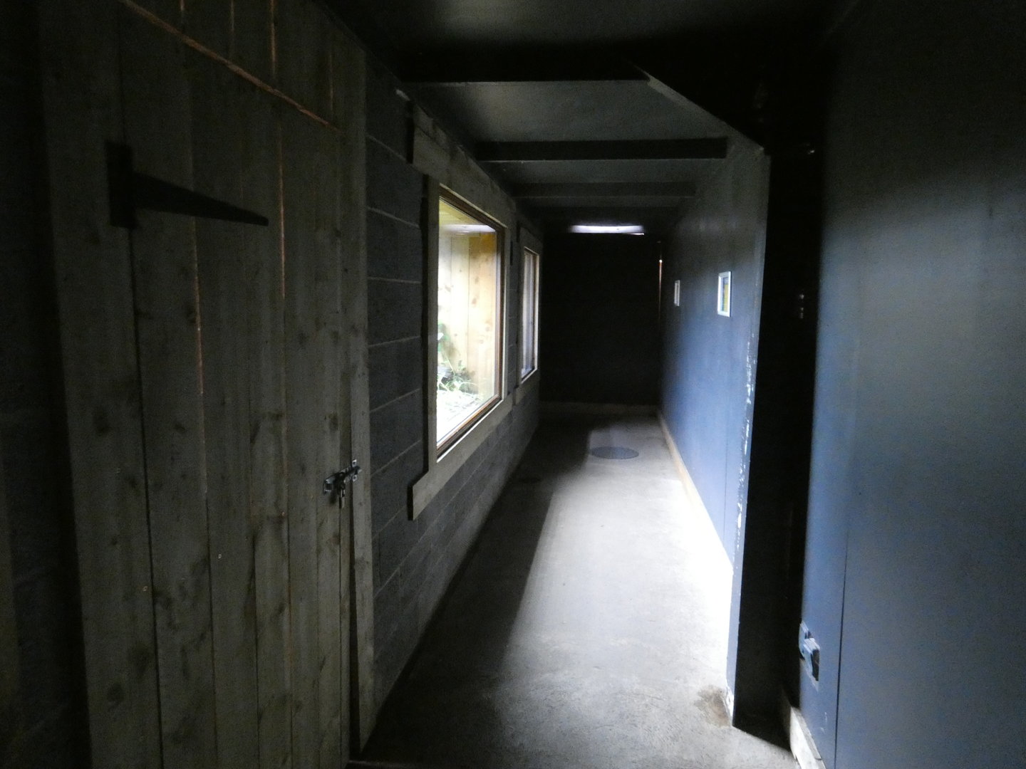 View of the reptile tunnel