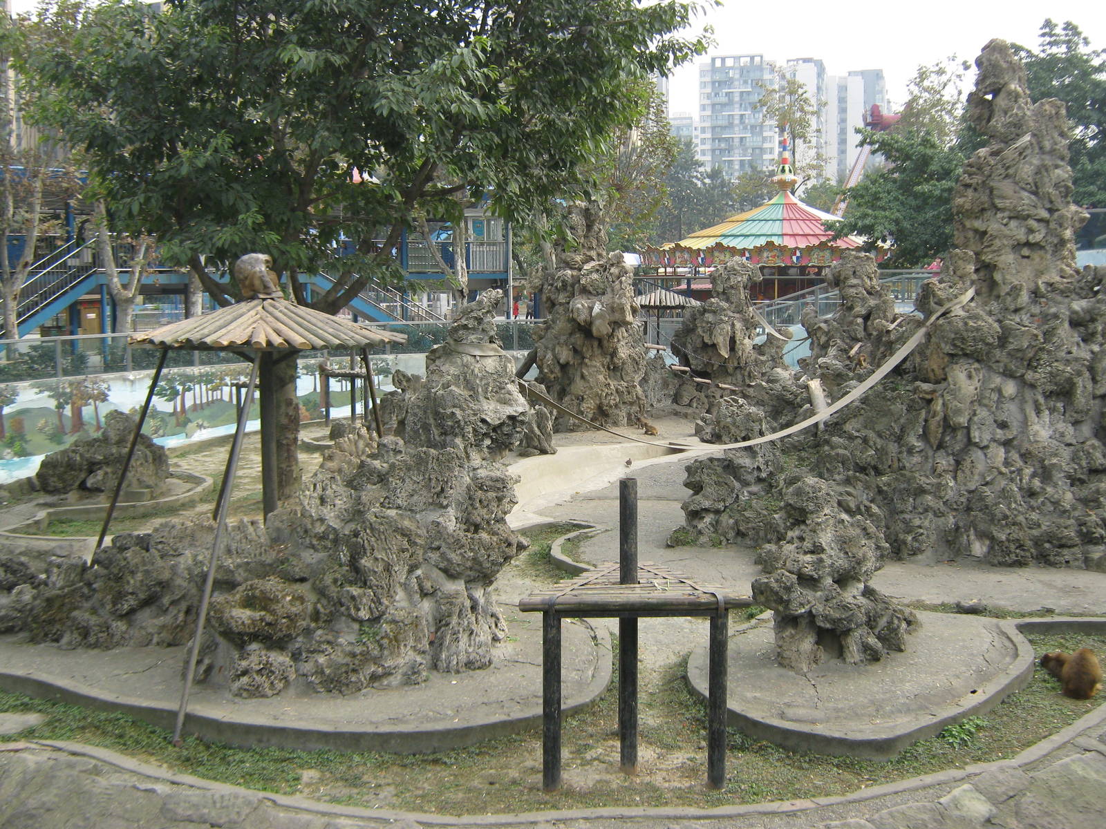 view of the rhesus macaque island