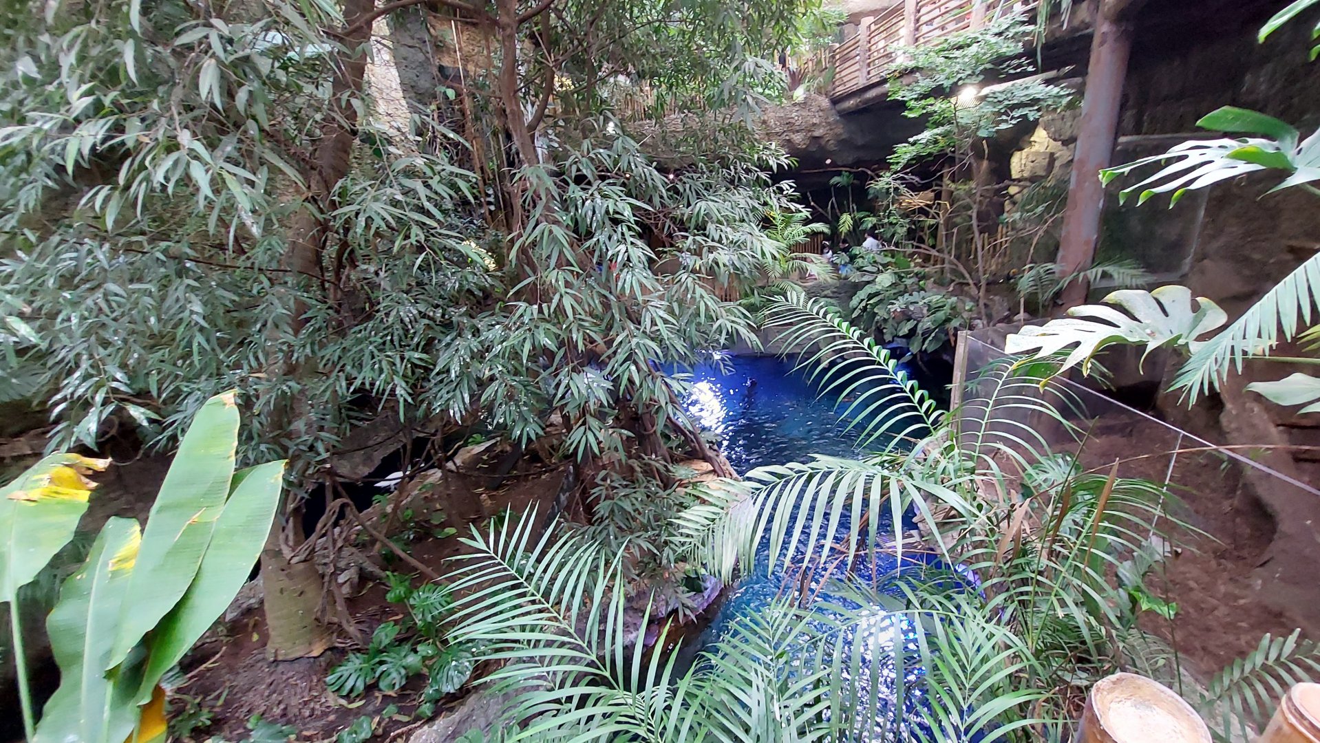 View of The River and Monkey Island