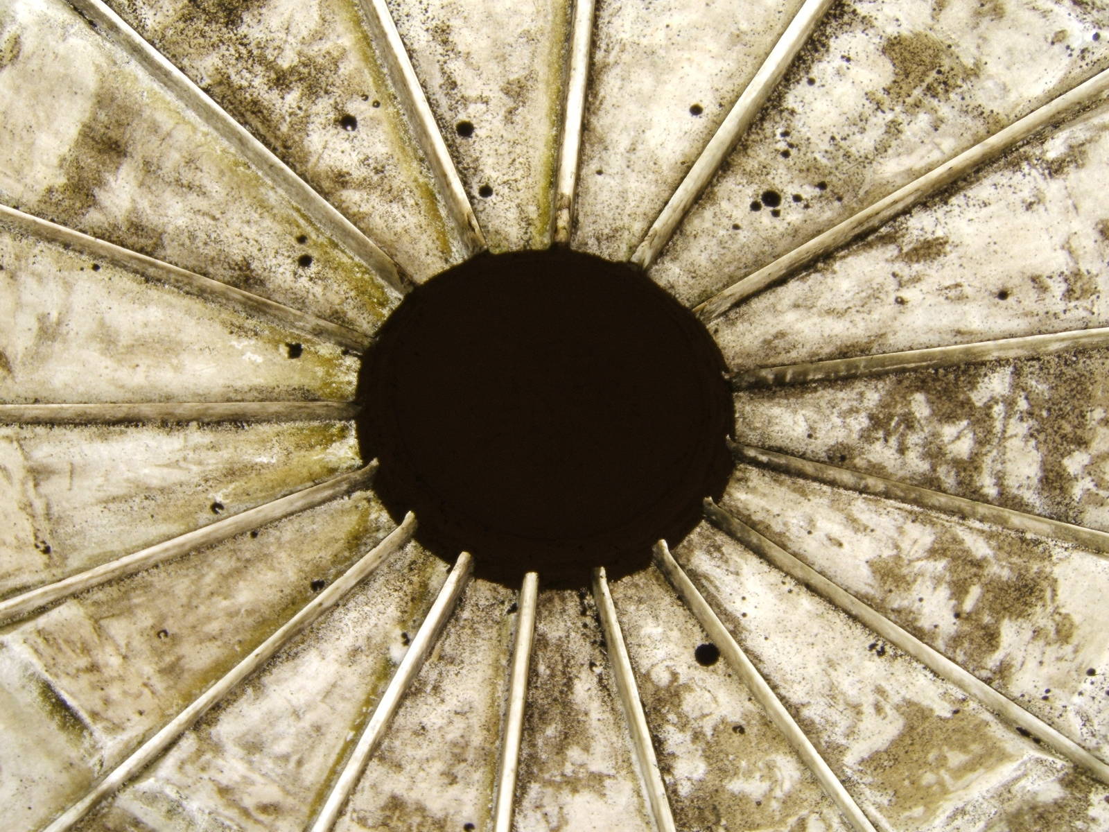 View of the roof inside the Lubtkin Elephant House