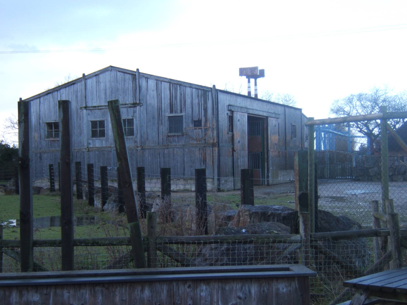 View of the Rothschild Giraffe House