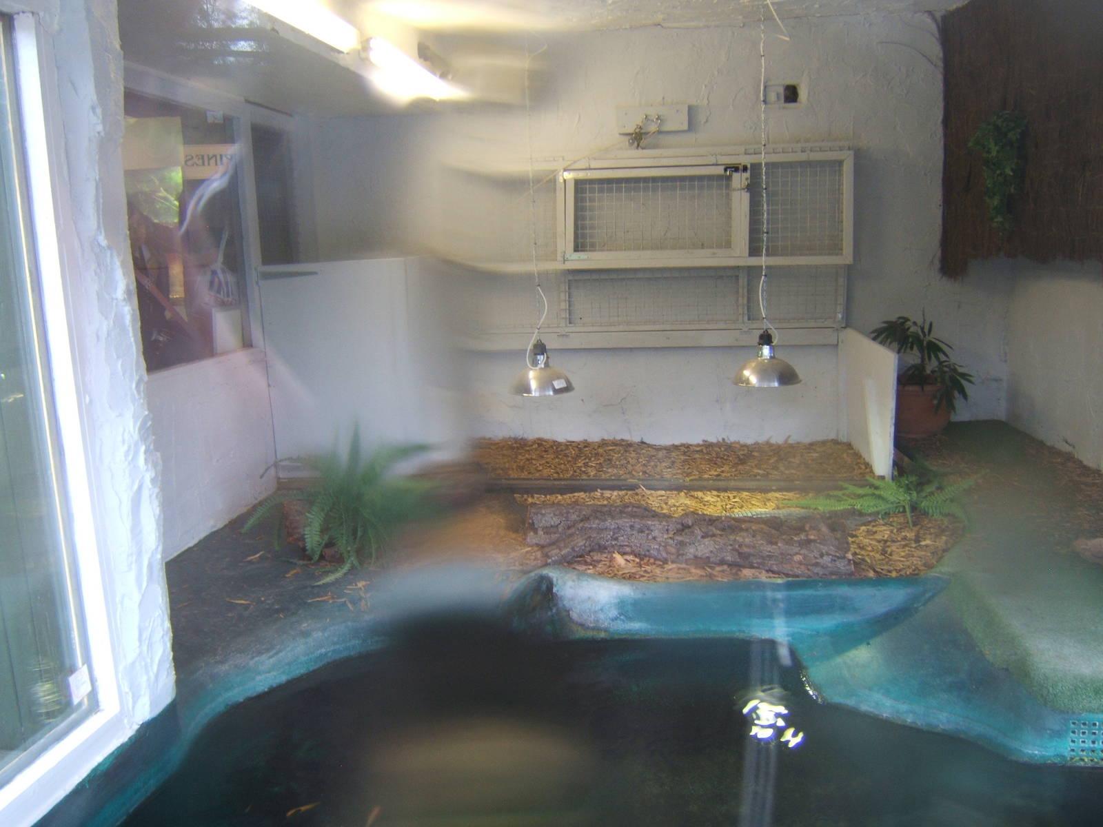 View of the safety cage for Crocodiles