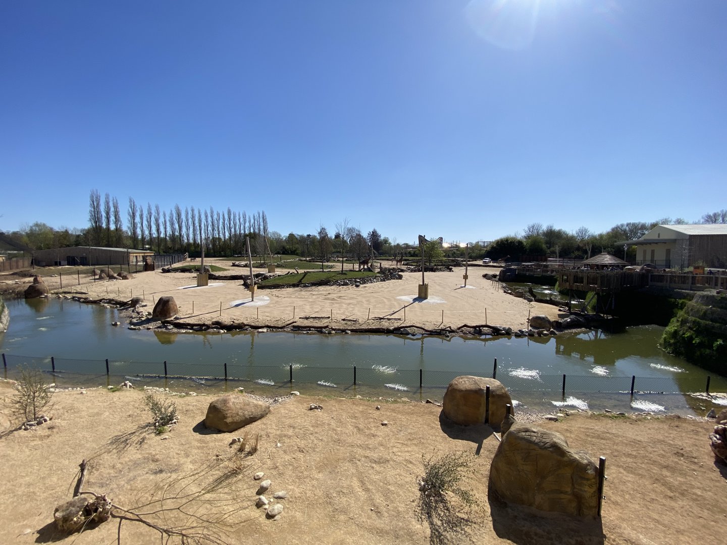 View of the savanna from above the porcupine and bat eared fox house