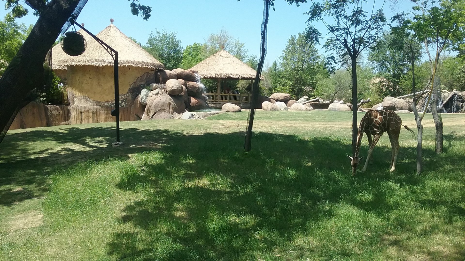 View of the Savanna Overlook