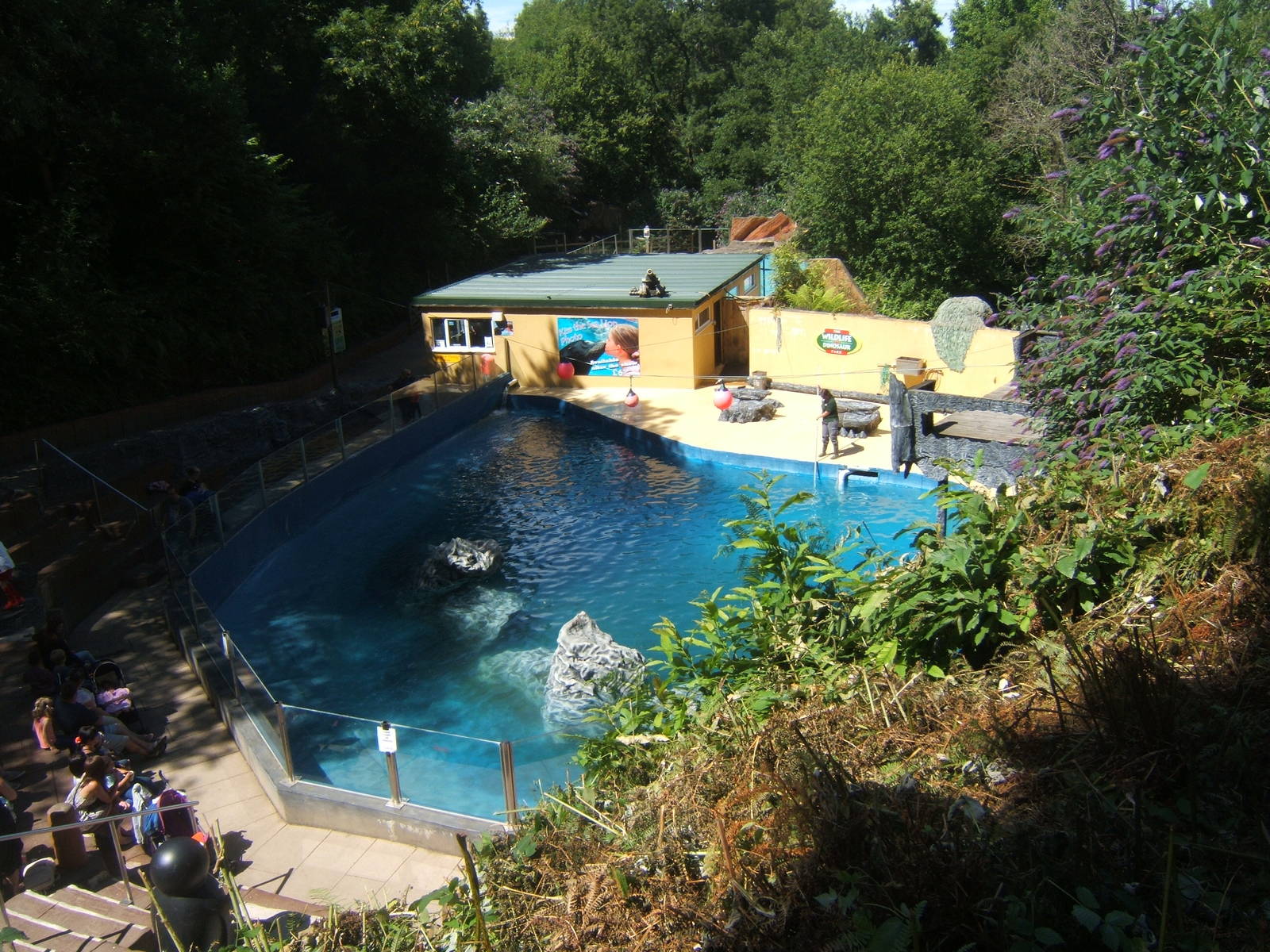 View of the Sealion pool