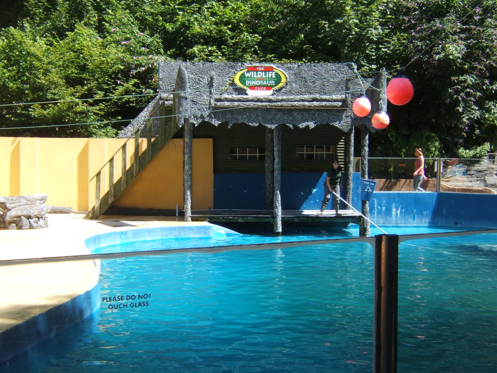 View of the Sealion pool