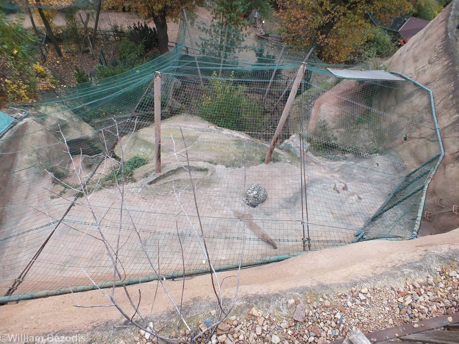View of the Snow Leopard Exhibit from Above