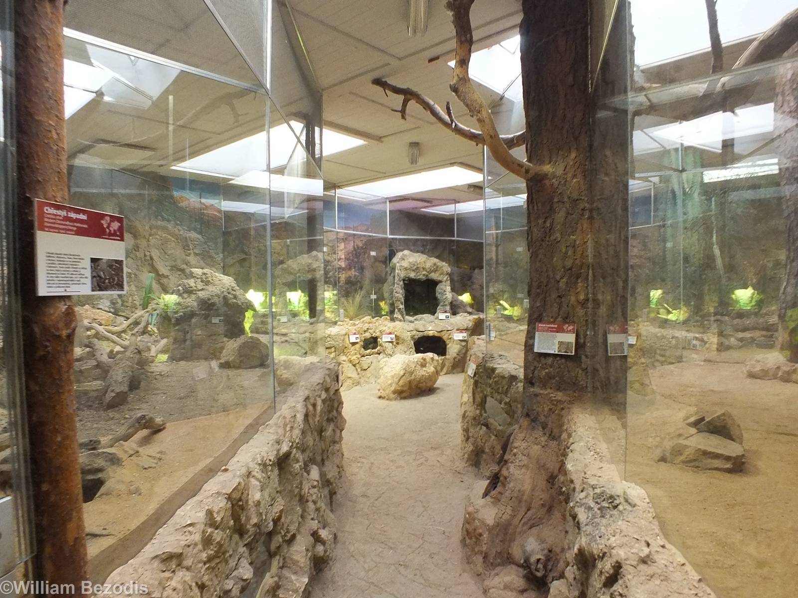 View of the Sonora House