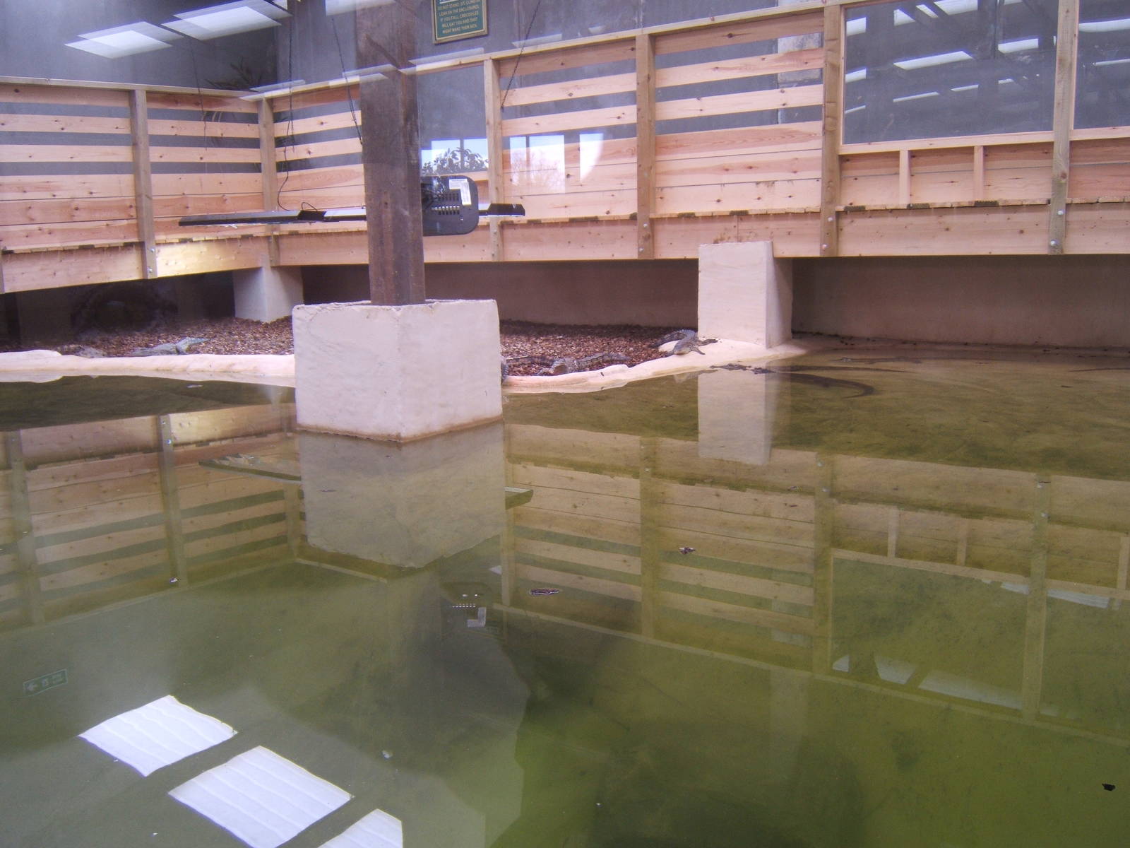 View of the South African Nile Crocodile exhibit
